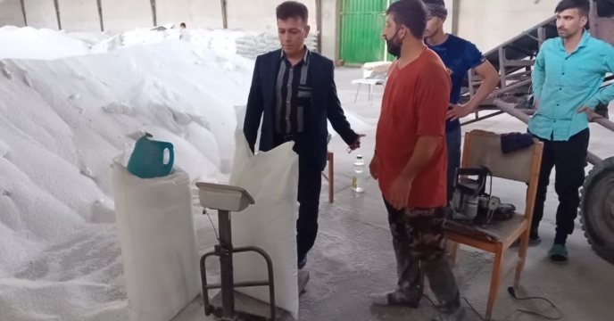 بازدید مدیرشرکت خدمات حمایتی  کشاورزی استان گلستان از روند کیسه گیری کوداوره در انبار فاضل آباد شهرستان علی آباد کتول
