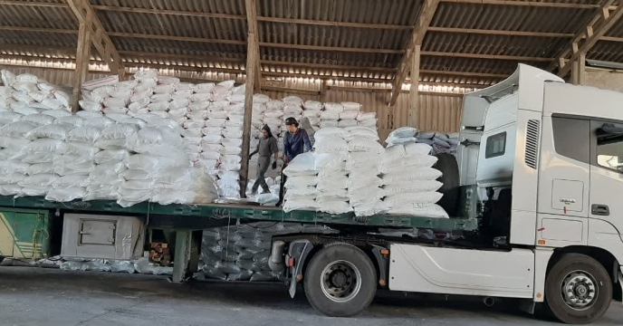 میزان 460تن انواع کودهای کشاورزی توسط شرکت خدمات حمایتی کشاورزی استان تهران در شهرستان پاکدشت توزیع گردید
