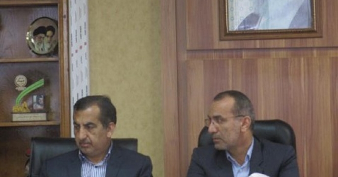 پرتقال و کیوی استان مازندران سالم است