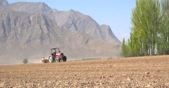 کاشت چغندر قند در هزار هکتار از مزارع فریدن آغاز شد.