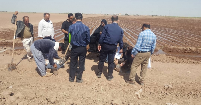 بازدید مدیر فنی و بهبود کیفیت بذر از مرحله نمونه برداری خاک و آب مزرعه منتخب استان خراسان رضوی