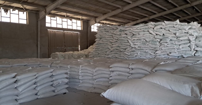 تخلیه و ذخیره‌سازی ۲۰۰ تن کود سوپرفسفات ساده در انبار مرکزی استان کرمان