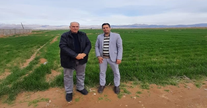 بازدید معاون بذر مدیریت فنی و بهبود کیفیت بذر و نهال شرکت خدمات حمایتی از استان سمنان