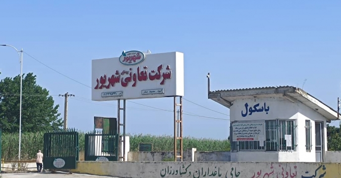 پایش حضوری از کارگزاری شرکت تعاونی روستایی شهریور