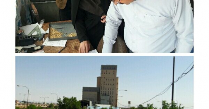 بازدید رئیس سازمان جهاد کشاورزی استان قزوین از سیلوی ذخیره گندم 