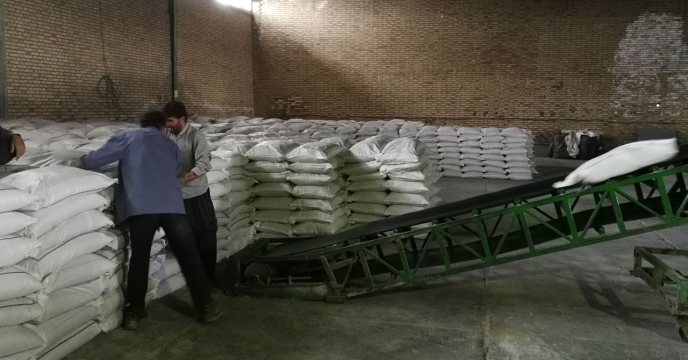 بازدید از مزارع نمونه گندم بذری