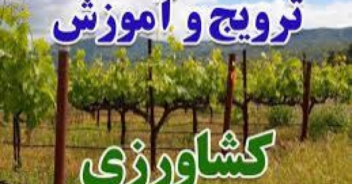 سایت الگویی مرکبات در بابل استان مازندران