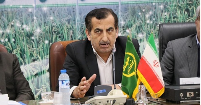 تولید 15 درصد مرکبات مازندران در شهرستان قائم شهر