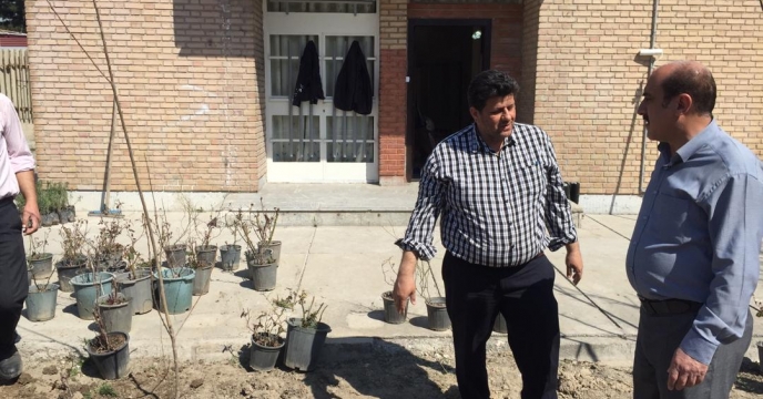 حضور مدیر در کاشت نهال در هفته منابع طبیعی 