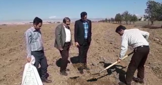 نمونه برداری از خاک مزرعه منتخب استان اردبیل
