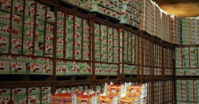 170 واحد نگهداری درجه بندی مرکبات در قائم شهر استان مازندران