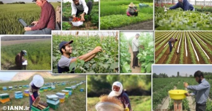 فعالیت 450 بهره بردار در بخش کشاورزی مازندران