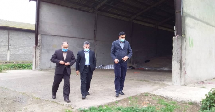 بازدید مهندس مسعودی فر از کشت و صنعت مغان 