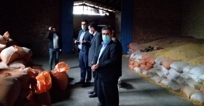 بازدید مهندس مسعودی فر از بذر سویا در استان اردبیل 