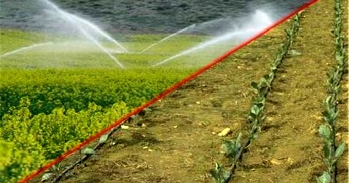 حضور مدیر شرکت خدمات حمایتی کشاورزی استان قم در جلسه تخصصی الگوی کشت