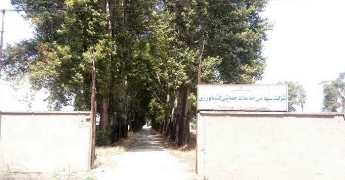 ارسال بیش  از1700 تن انواع  کود کشاورزی به  انبار  نودیجه گرگان در  چهار ماه 1402