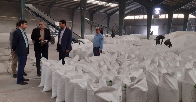 بازدید مدیر حراست سازمان جهاد کشاورزی استان از انبارهای شرکت خدمات حمایتی اکشاورزی