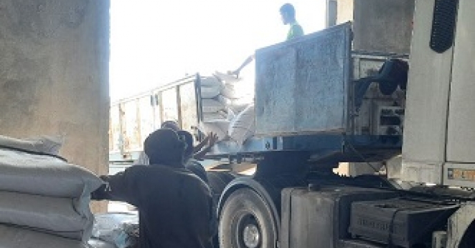 بارگیری وحمل بذور گندم در انبار ایرانشهر مهر ماه سال جاری