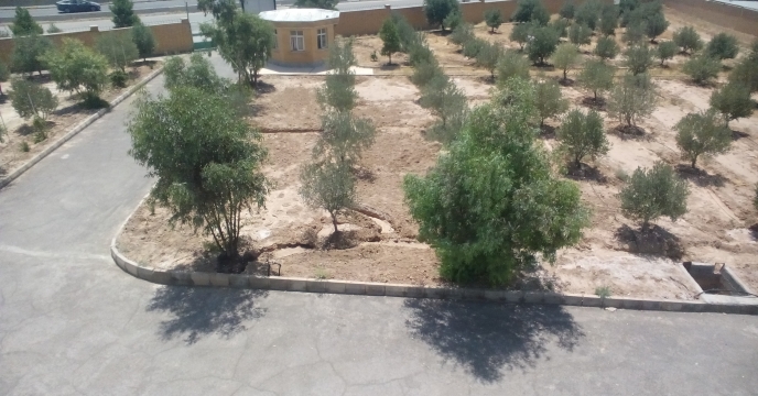 آبیاری درختان در استان سمنان