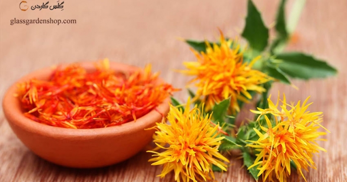 فروش بذر گلرنگ وارداتی در استان اردبیل