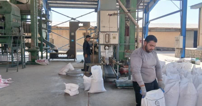 با پایان یافتن عملیات بوجاری بذر، پارچینی بذور بوجاری شده در شرکت خدمات حمایتی کشاورزی استان چهار محال و بختیاری صورت گرفت