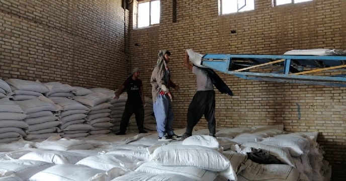 تخلیه کود شیمیایی سوپرفسفات در انبار سازمانی شرکت خدمات حمایتی کشاورزی خوزستان