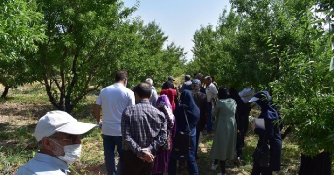 برگزاری تور آموزشی مزرعه بادام