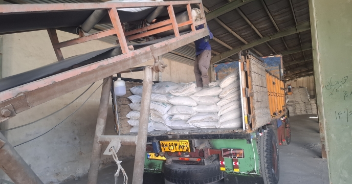 توزیع بیش از 3400 تن کود کشاورزی در جنوب کرمان؛ حمایت از کشاورزان هشت شهرستان