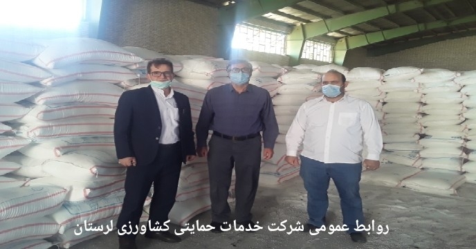  بازدید میدانی مسوول بازرگانی و فروش شرکت خدمات حمایتی کشاورزی لرستان از انبارهای ذخیره سراب چنگایی شهرستان خرم آباد 