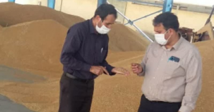 بازدید مدیر زراعت از سایت بوجاری