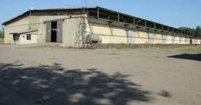 درج خبر روند صعودی مصرف کود با کاهش ۴۵ درصدی قیمت آن از ابتدای سال جاری در سایت سازمان جهاد کشاوررزی استان لرستان