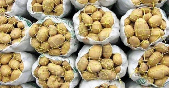 تخصیص سهمیه کود سرک اوره به سیب‌زمینی‌کاران گلستان