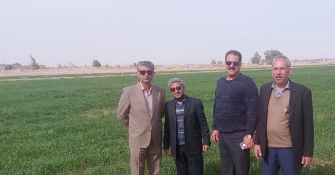 بازدید از مزارع شهرستان زابل 