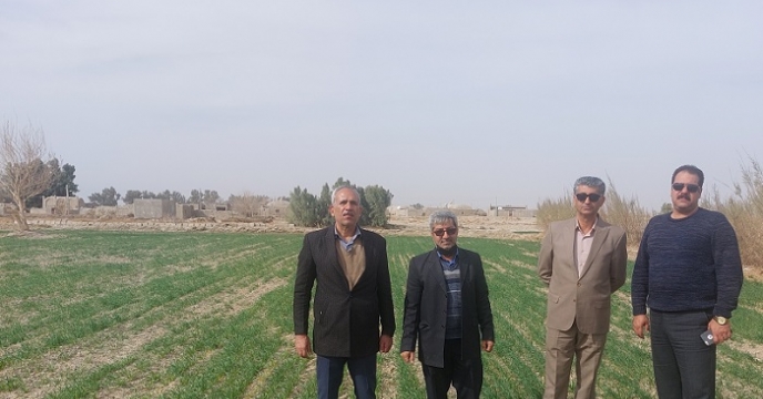 بازدید از مزارع شهرستان زهک