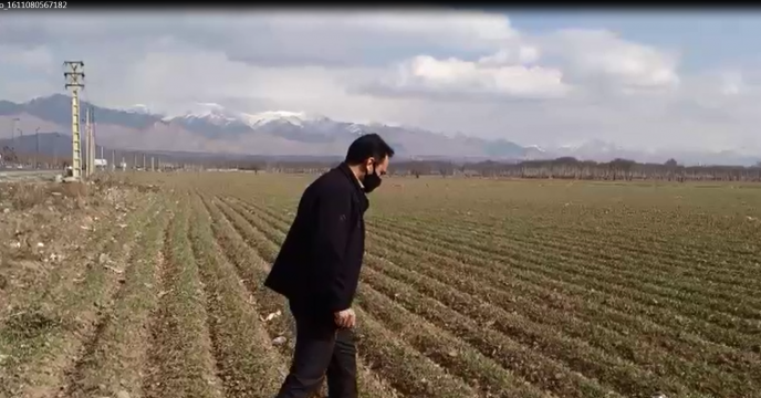 بازدید از مزارع تولید بذور غلات شهرستان کرج