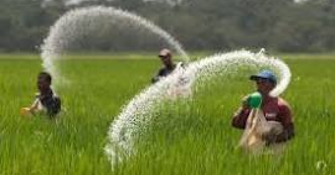 از ابتدای سال تاکنون میزان 1 میلیون و 930 هزار تن انواع کودهای کشاورزی در سطح کشور مصرف شده است