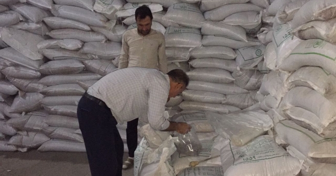 نمونه برداری از کود فسفات 13 درصد توسط شرکت خدمات حمایتی کشاورزی استان آذربایجان غربی