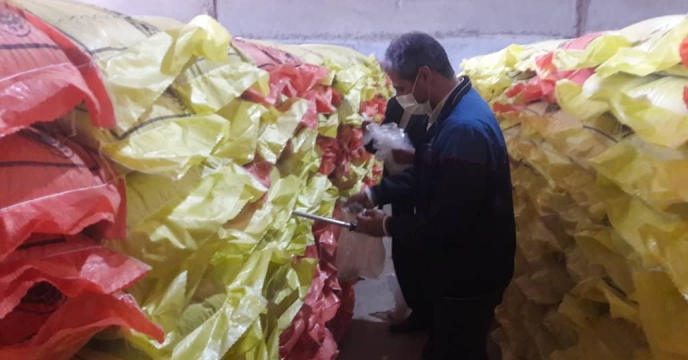 نمونه برداری از سویای مرغوب 