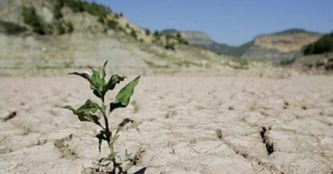 تاثیر کاهش بارندگی‌ها بر کشت بهاره خراسان جنوبی