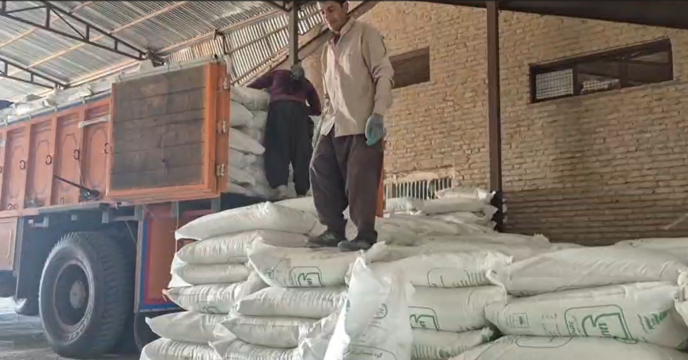 تعداد 134 فقره حواله الکترونیکی توزیع کود برای کلزا کاران در جنوب کرمان صادر و تحویل گردید