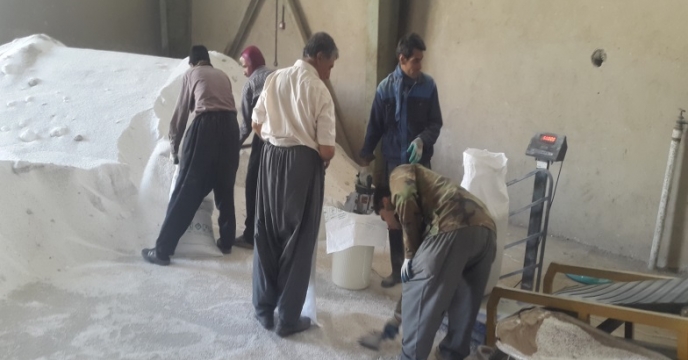 ادامه روند کیسه گیری کود سولفات پتاسیم