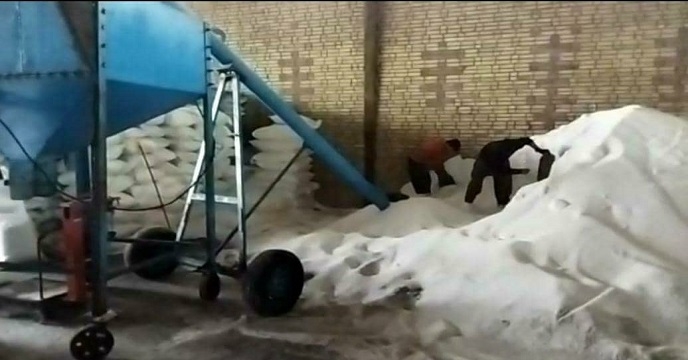 کیسه گیری کود اوره در انبار سازمانی شرکت خدمات حمایتی کشاورزی خوزستان