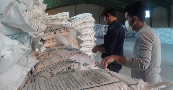 نمونه برداری ازمیزان 200 تن کود کشاورزی سوپر فسفات تریپل(Tsp) از مبدا ارکان شیمی در شرکت خدمات حمایتی کشاورزی لرستان