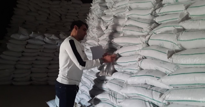 کنترل کیفی از میزان 200 تن کودسوپرفسفات تریپل در انبارهای ذخیره  شرکت خدمات حمایتی کشاورزی لرستان