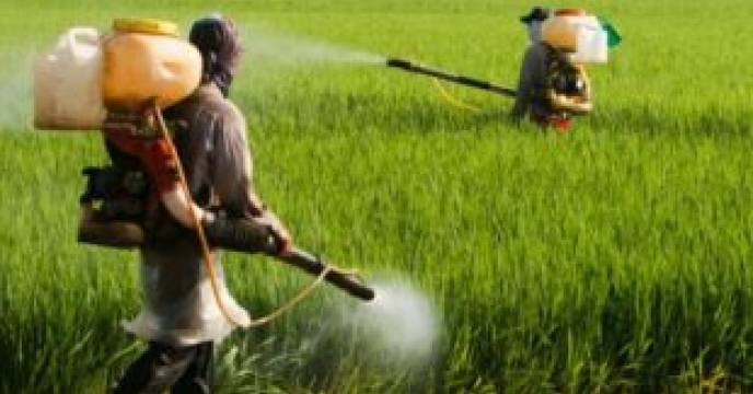 مجوز تامین و ارسال میزان 20000 لیتر سم تاپیک از مجتمع شیمیایی آبیک صادر شد