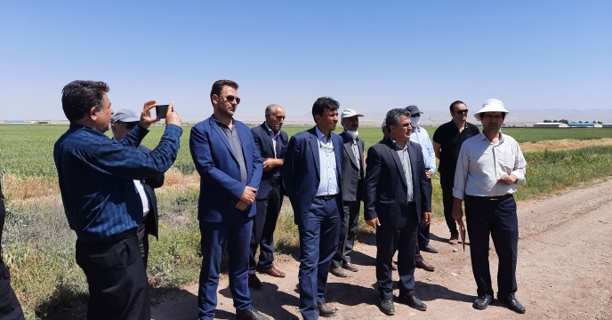 بازدید از طرح پایلوت تغذیه گیاهی استان اردبیل 