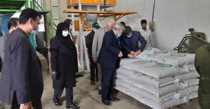 بازدید معاونت زراعت وزیر از سایت بذر شرکت خدمات حمایتی کشاورزی استان گیلان 