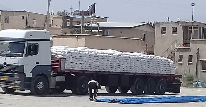 کشت های پاییزه شهرستان نهاوند استان همدان با تأمین و توزیع کودهای کشاورزی یارانه ای