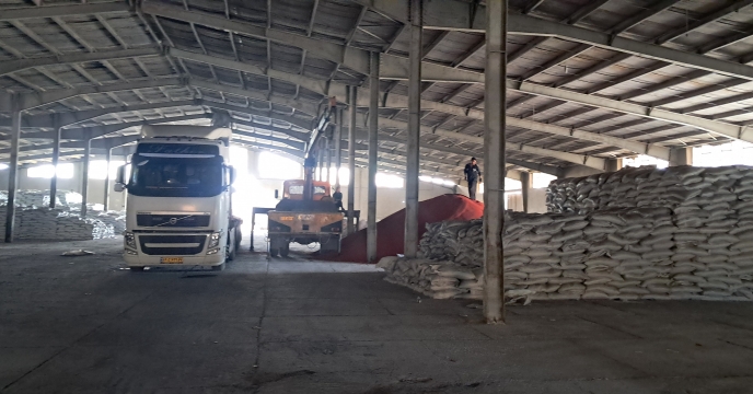 میزان 796 تن کود یارانه‌ای طی 7 ماهه نخست امسال بین کارگزاران شهربابک توزیع شد