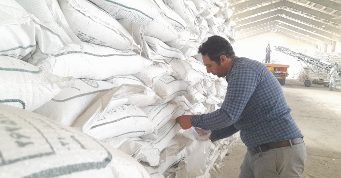 نمونه‌گیری از ۲۵ محموله کود وارده به استان همدان برای بررسی کیفی توسط شرکت خدمات حمایتی کشاورزی